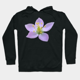 wonderful purple flower, flowers, nature, bloom, violet Hoodie